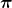 \bm{\pi}